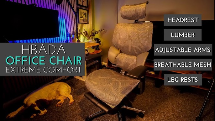 HBADA E1 Ergonomic Chair With Footrest