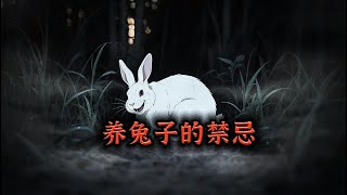 你们知道养兔子，哪些事千万要注意吗？