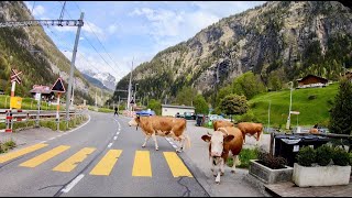 Driving from LAUTERBRUNNEN to GRINDELWALD (Switzerland by car)