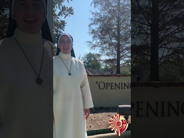 Novitiate House 8/31/23 -  1 Month Update!