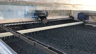 Solar sludge dryer