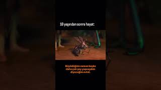 Doğal Kahramanlar Epic, 2013