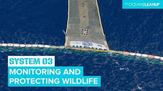 How We Make Sure Cleanup Operations Are Safe for the Environment I System 03