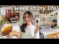 COLLEGE WEEK IN MY LIFE VLOG! 🎀 *productive + realistic* grocery shopping, studying, cleaning, etc!