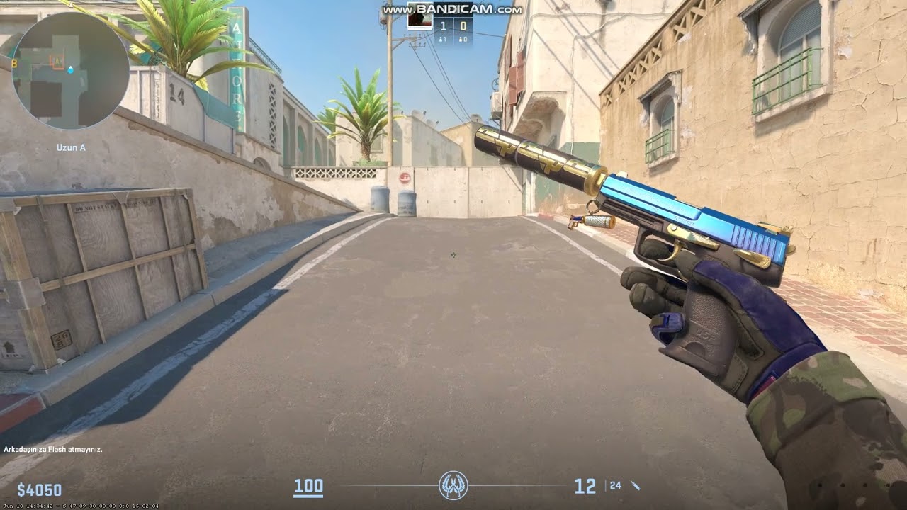 CS2 ROYAL GUARD(USP-S)