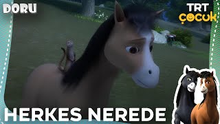 DORU | HERKES NEREDE