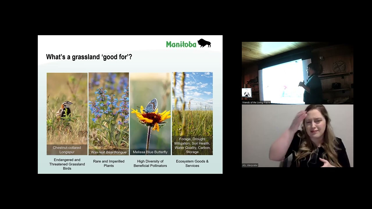 Winter Speaker Series 2024 - Rare Species of Manitoba's Grasslands