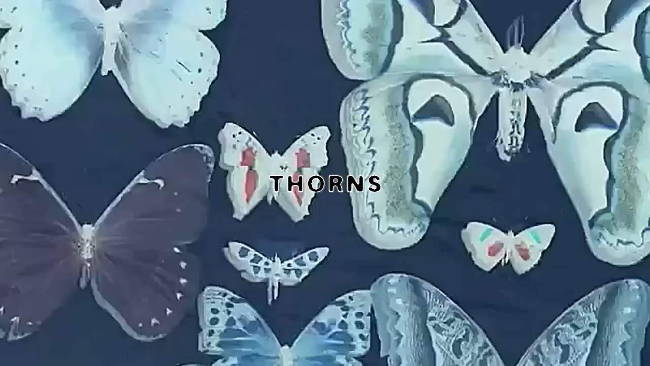 $UICIDEBOY$ - THORNS (JEYKEY REMIX)