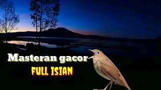 SEMUA BURUNG PASTI EMOSI!! SUARA BURUNG SRDC RIBUT