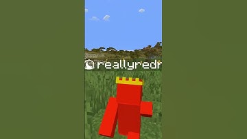 Replay mod? #minecraft #smp #shorts #lunarclient #replaymod