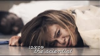Video thumbnail of "grey's antomy | 12x09 | the scientist"
