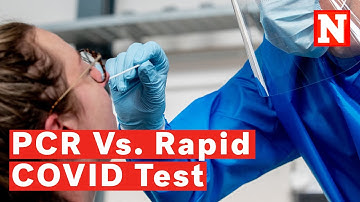 PCR Vs. Rapid Antigen: What Are The Differences Between The COVID-19 Tests?