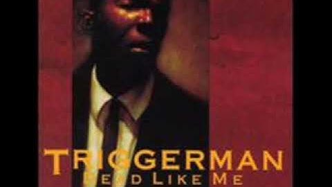 Triggerman - A Gun In The Hand