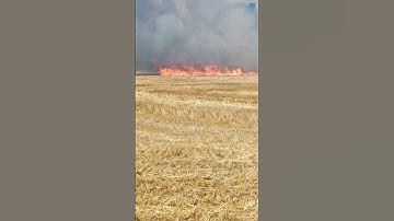 Day 38/150 Of Random edits  #edit #editing