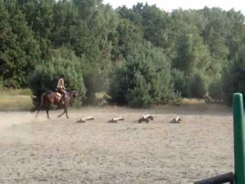 Video: Santek tshuaj xyuas chav dej