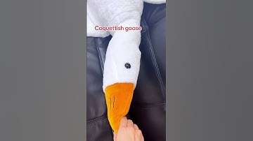 Adorable goose plushie #stuffed #stuffedanimals #plushies