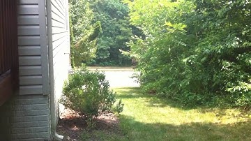 iPhone 4 video test - direct PC upload