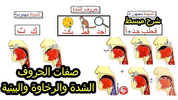 جريان الصوت في التجويد: افهم هذا المبدأ لتتقن الشدة والرخاوة والبينية