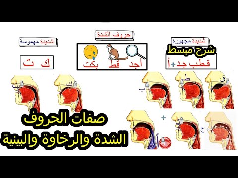 جريان الصوت في التجويد افهم هذا المبدأ لتتقن الشدة والرخاوة والبينية