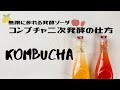 発酵食品「紅茶キノコ」二次発酵の仕方