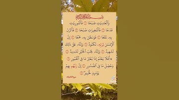 سورةالعاديات #المصحف #تيك_توك #القزابري #الرحمن #الطحان #ترند #حالات_واتس