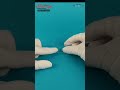 Onion🧅Peel Under Microscope | Temporary onion peel slide #science #biology #shorts #trendingshorts