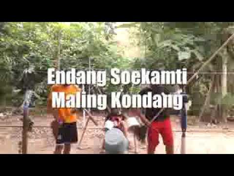 Endang soekamti maling kondang