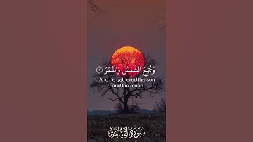 #اكسبلور #المصحف #تلاوات #حالات_واتس #راحة_نفسية #تلاوات_خاشعة #لايك #قرآن #خسوف_القمر #خسوف #كسوف