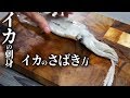イカのさばき方と刺身の切り方