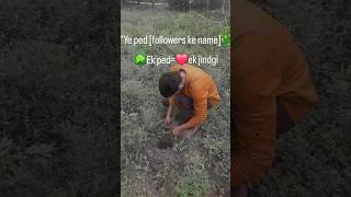 #treeplantation #naturelover#greenindia#save earth #dailyplanting#deepakplant