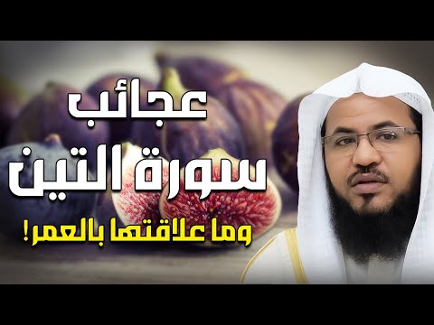 معجزة التين والزيتون ولماذا خص الله ذكرهما في القرآن الشيخ محمد الشنقيطي