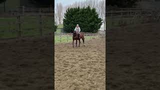 4 Year Old