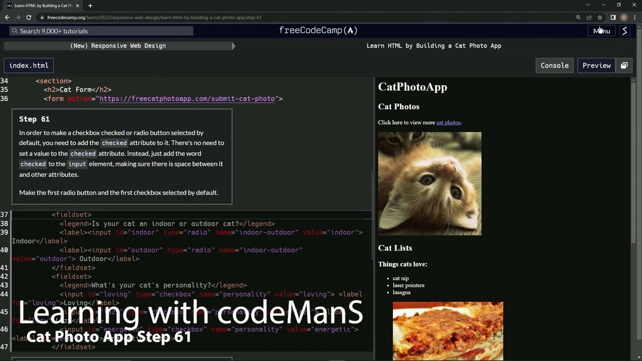learn2code | freeCodeCamp (New) Responsive Web Design - CatPhotoApp: Step 61