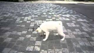 20100627-2.mp4