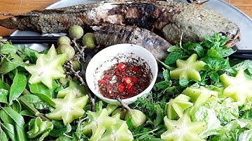 Cá Lóc Nướng.Chấm Muối Ớt Mác Khén Siêu Ngon | Biển Nguyễn ngọc.