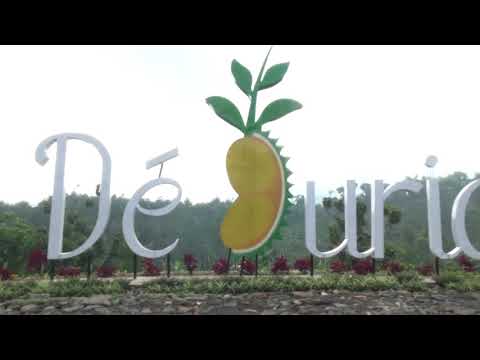 ada-apa-di-de-durian-park?-agrowisata-baru-di-wonosalam.