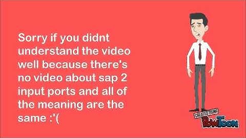 SAP 2 INPUT PORT 1 & 2