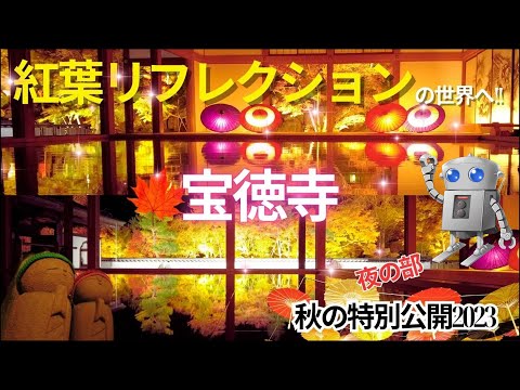 【宝徳寺 紅葉】群馬屈指のインスタ映えスポット。話題の「床もみじ」を観賞、紅葉狩りに行ってきました。