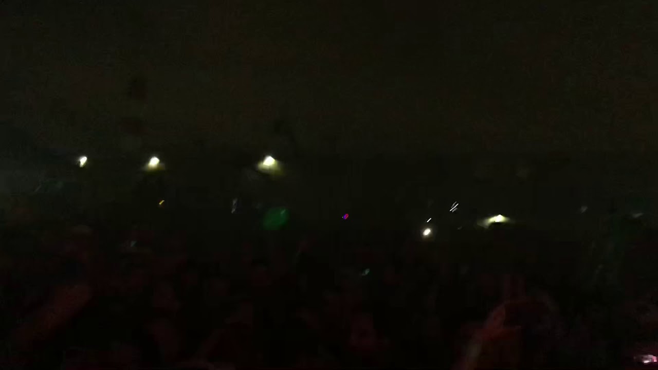 Heavyweight Sound: Bassnectar