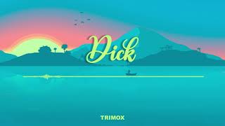 Dick - Starboi3, Doja Cat - Remix Pagodão (TRIMOX REMIX)