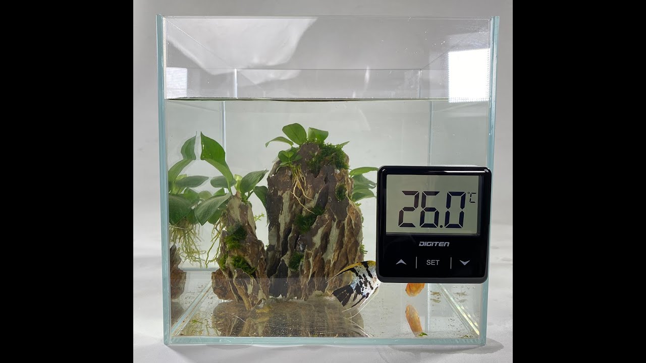 capetsma Aquarium Thermometer Digital Fish Tank Thermometer Large LCD  Screen Records High & Low Water Temperature in 24 hrs Black