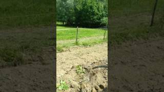 Paulownia Ipari Császárfa Öntözés Ejtőtartály ,D30Mm, Kb.100Lmin