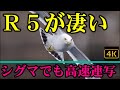 キヤノン R5 で野鳥撮影 SIGMA 150-600mm F5-6.3 DG OS HSMでも高速連写、鳥瞳ＡＦが可能であった。その設定を紹介する。