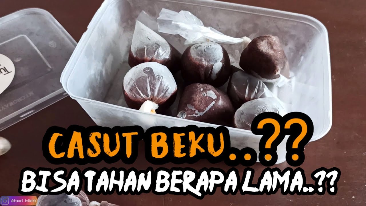 EKSPERIMEN PAKAN CUPANG CACING SUTRA DENGAN CARA DI BEKUIN. BISA NGGA YAA..??
