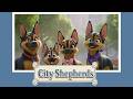 Every Dog is Different! | City Shepherds Episode One