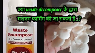 waste decomposer द्वारा मशरुम की खेती की जा सकती है/mushroom farming waste decomposer/oyster/#shorts