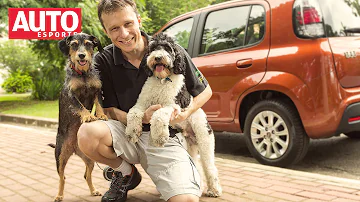 Como deve ser o transporte de animais?