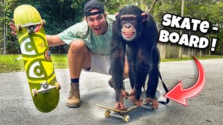 Teaching My Monkey How To Skateboard ! Can He Do It !