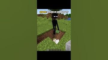 Ender golem in Minecraft Moment #minecraft #shorts