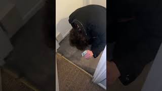 Looks Like Weve Got A Little Visitor